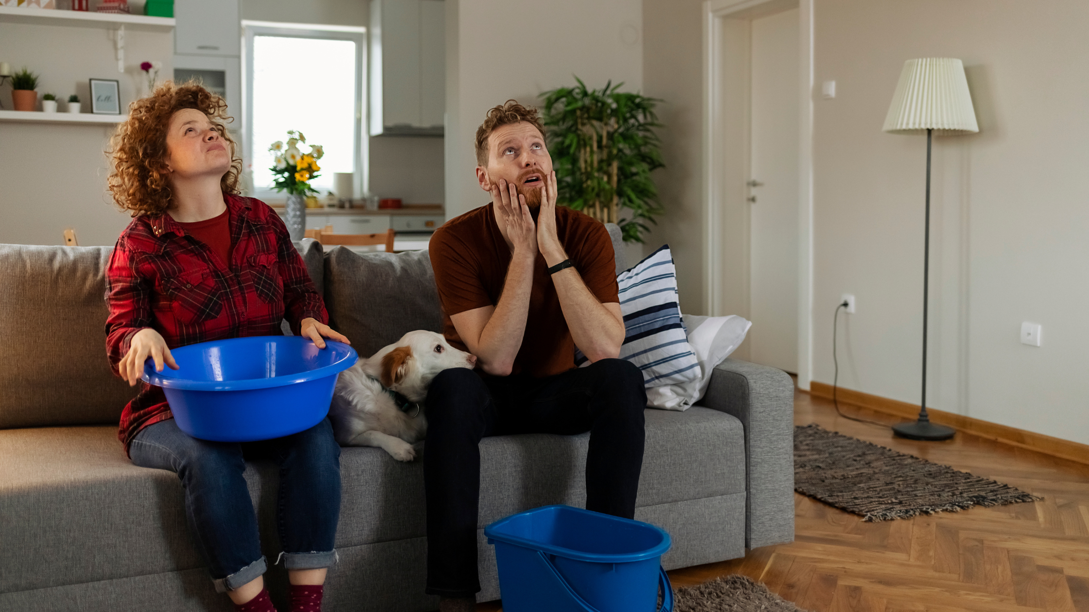 Common Causes of Roof Leaks